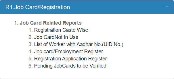 mis report nrega 3